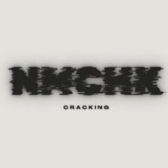 NmChk